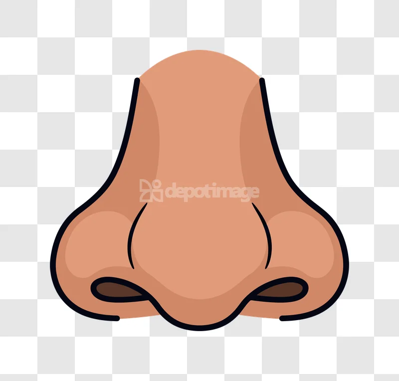 Human Nose Cartoon Style Illustration Front, light brown, simple, clean lines