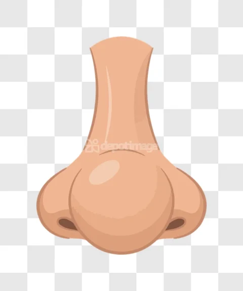 Human Nose Cartoon Style Illustration Isolated
