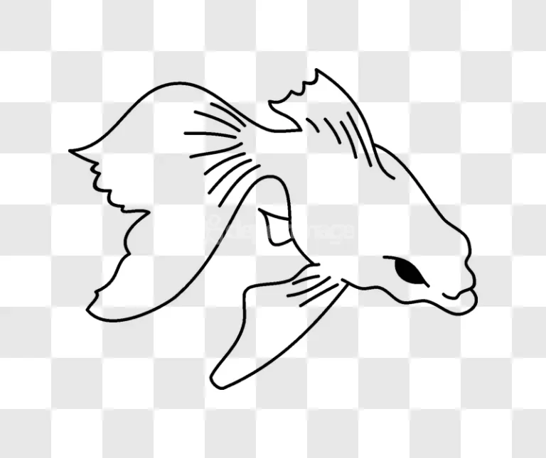 Line Art Goldfish Swimming Minimalist