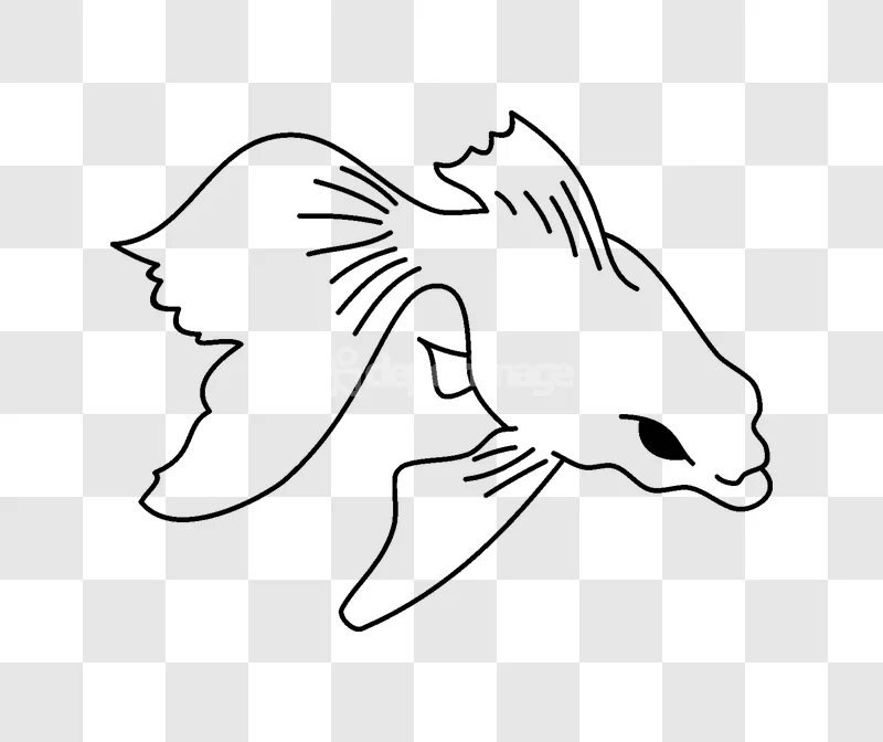 Line Art Goldfish Swimming Minimalist black outline transparent