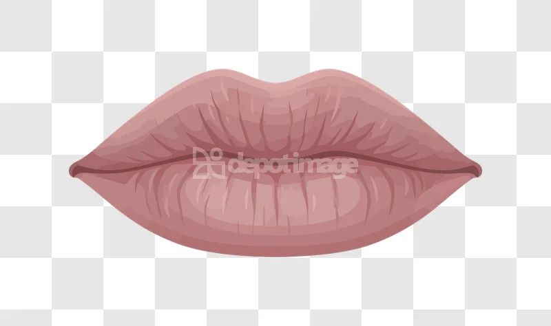 Lips Human Mouth Skin Color Pout, natural pink, detailed, closed mouth