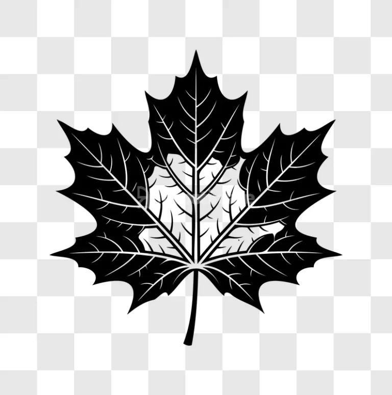 Maple Leaf Veins Detailed Black White