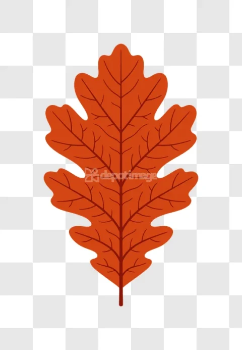 Oak Leaf Autumn Simple Illustration