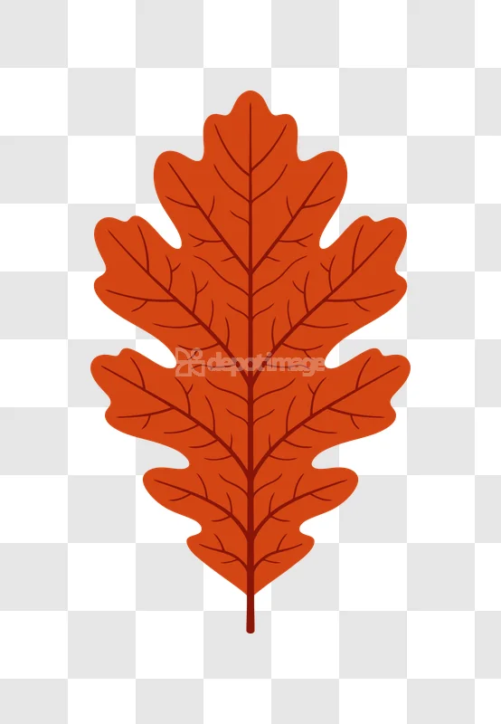 Oak Leaf Autumn Simple Illustration stylized orange leaf dark veins