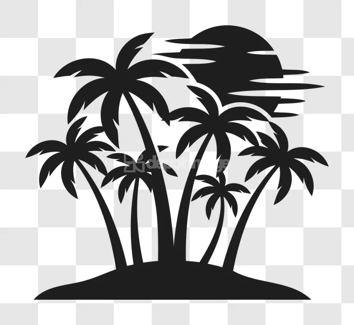 Palm Trees Island Silhouette Sunset