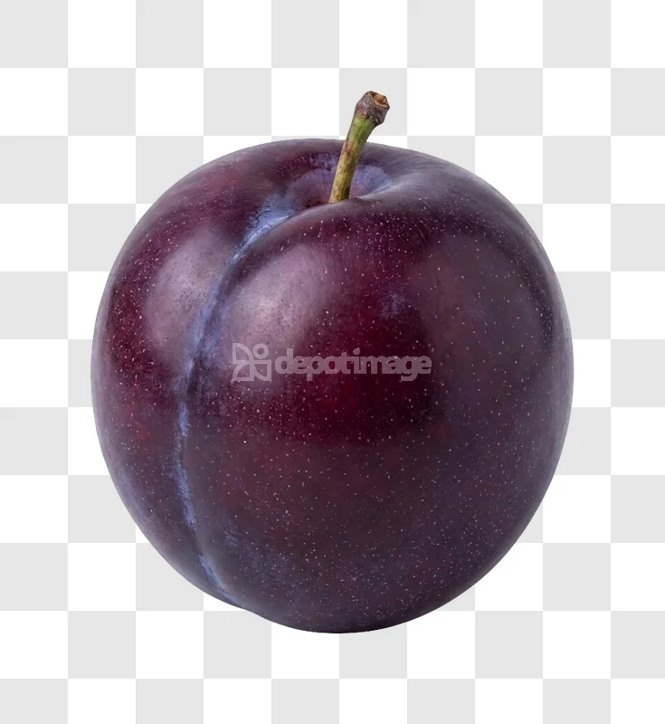Ripe Dark Purple Whole Plum Fruit
