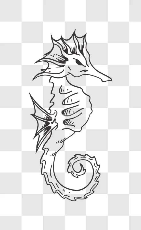 Seahorse Outline Sketch Artwork Aquatic