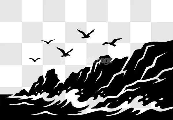Seascape Birds Cliffs Waves Black White Illustration