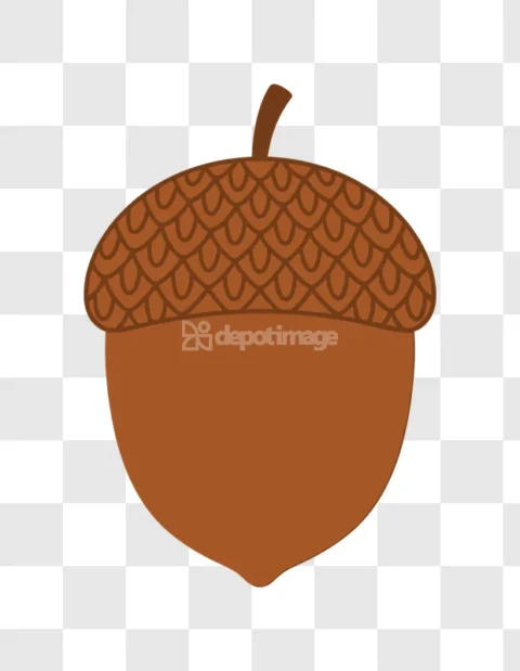 Simple Brown Acorn Cartoon Illustration