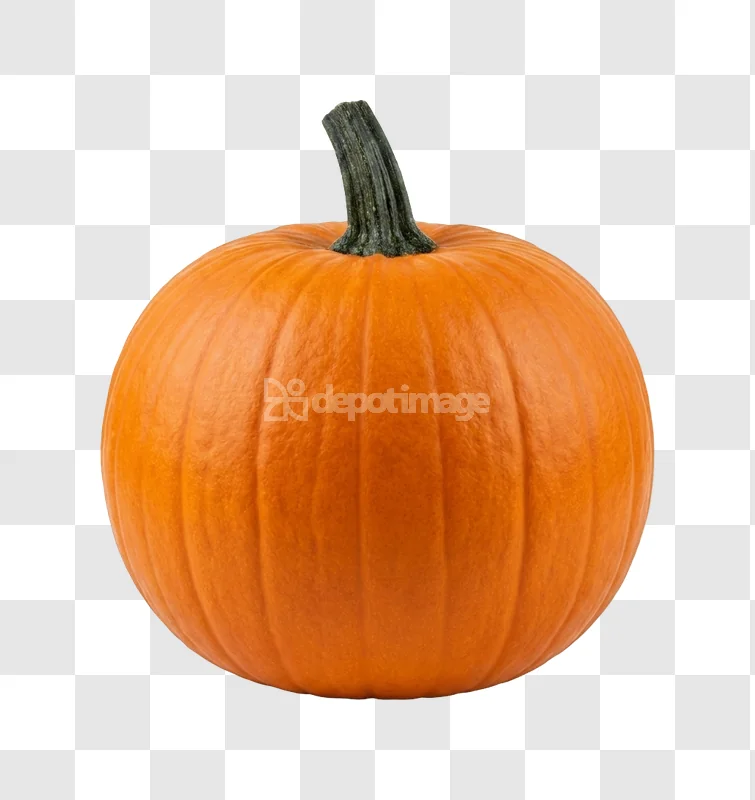 Single Bright Orange Pumpkin