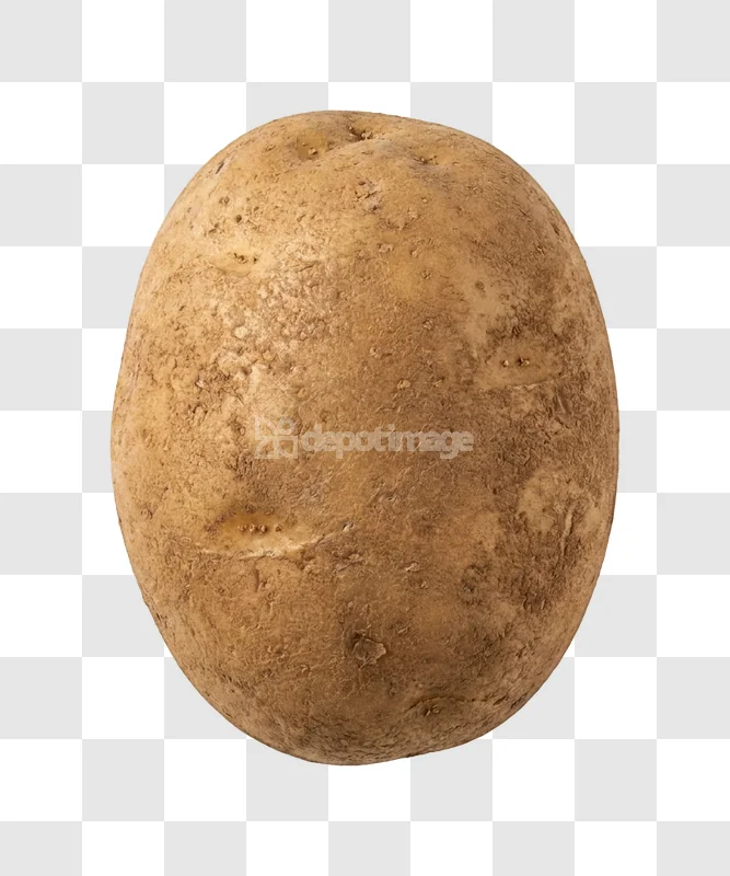 Single Brown Russet Potato Detailed