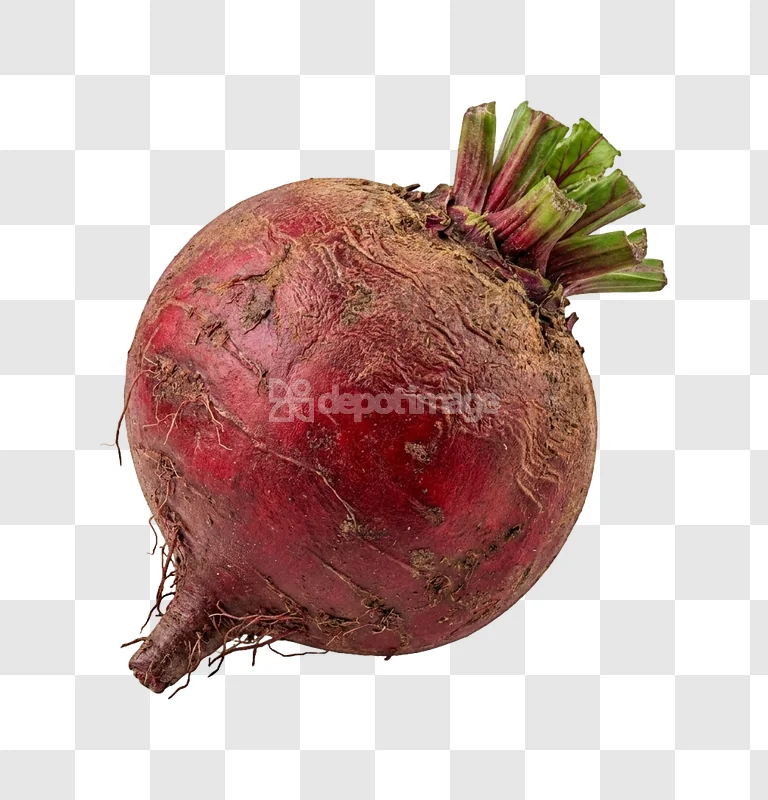 Single Red Beetroot Fresh Produce