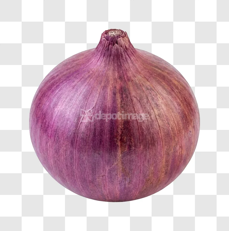Single Red Onion Vegetable Produce Fresh isolated close-up transparent background