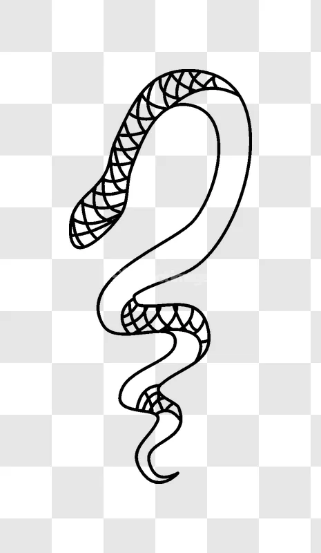 Snake Outline Geometric Pattern Curved