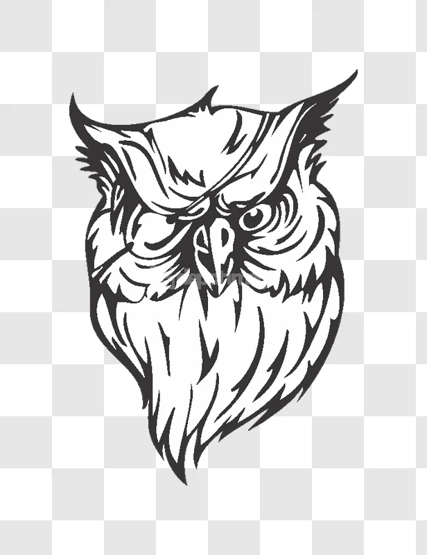 Stylized Owl Head Black White Illustration bold graphic transparent background