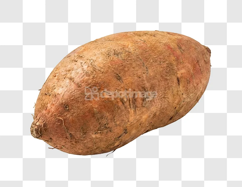 Sweet Potato Root Vegetable Produce Close single brown root vegetable