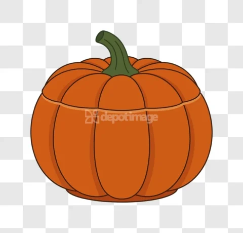 Vector Orange Pumpkin Squash Illustration