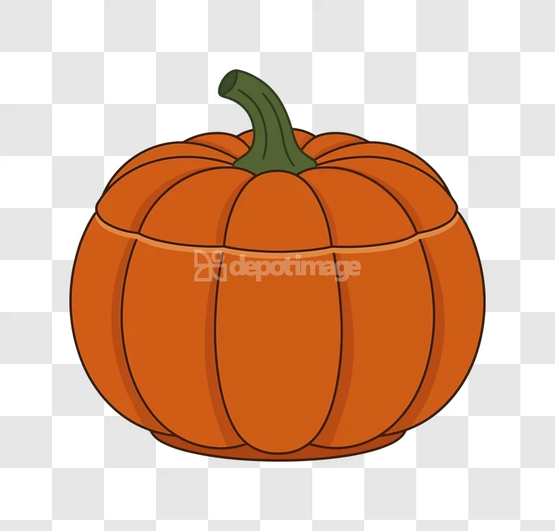 Vector Orange Pumpkin Squash Illustration flat cartoon style transparent background