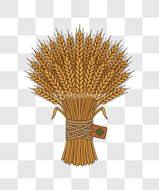 Wheat Sheaf Maple Leaf Tag Cartoon Vector cartoon style golden brown transparent background