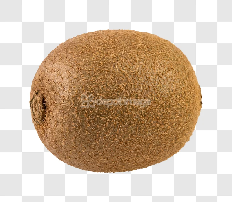 Whole Kiwi Fruit Brown Hairy Skin close up texture transparent background