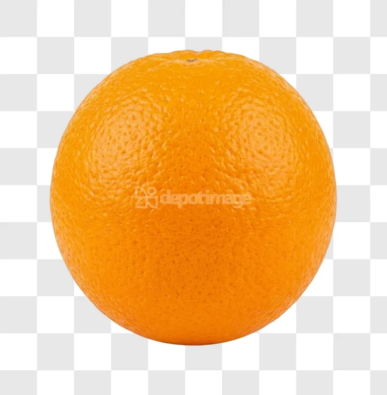 Whole Round Orange Citrus Fruit