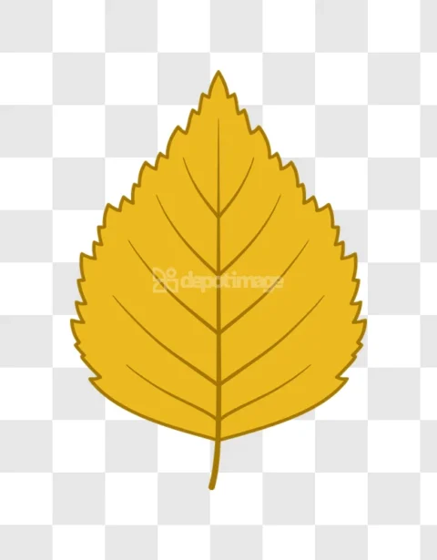 Yellow Birch Leaf Vector Graphic