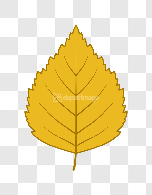 Yellow Birch Leaf Vector Graphic flat illustration transparent background