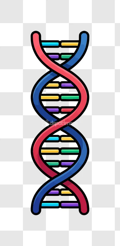 Colorful Dna Helix Structure Icon