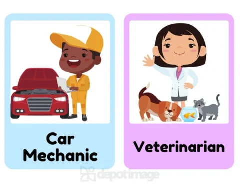 Flashcards Career Car Mechanic Veterinarian Learning
