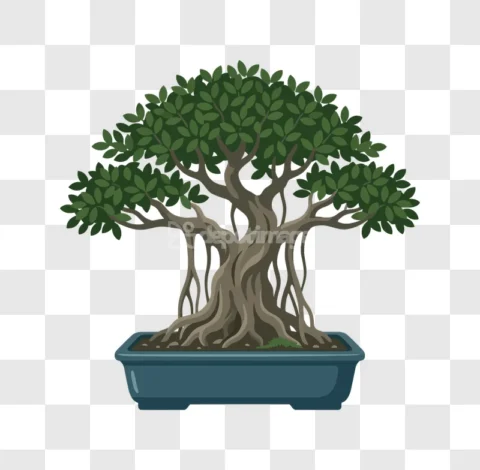 Green Bonsai Tree Pot Vector Art