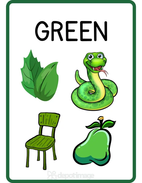 Green Color Flashcard Leaves Snake Chair Pear