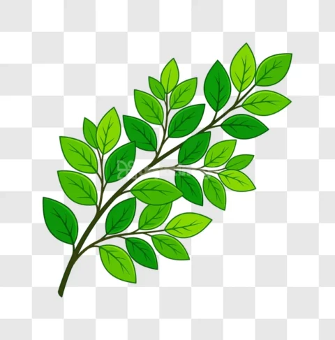 Green Leaves Branch Natural Plant Foliage