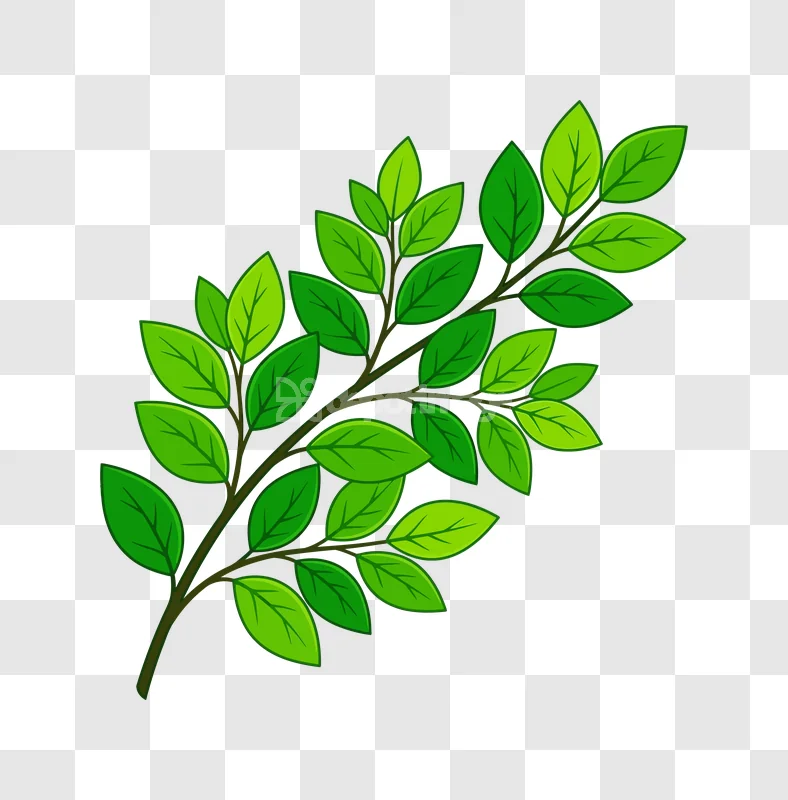 Green Leaves Branch Natural Plant Foliage: vibrant, cartoon style, dark background