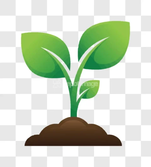 Green Plant Sprout Growing Soil