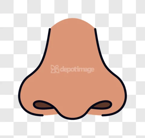 Human Nose Face Organ Smell Icon