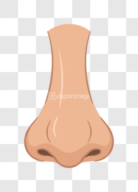Human Nose Facial Feature Skin Color: cartoon style, light brown, isolated
