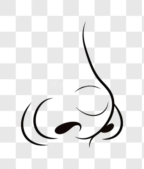 Human Nose Minimal Line Art Drawing