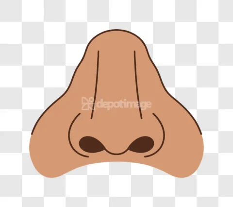 Human Nose Simple Cartoon Style