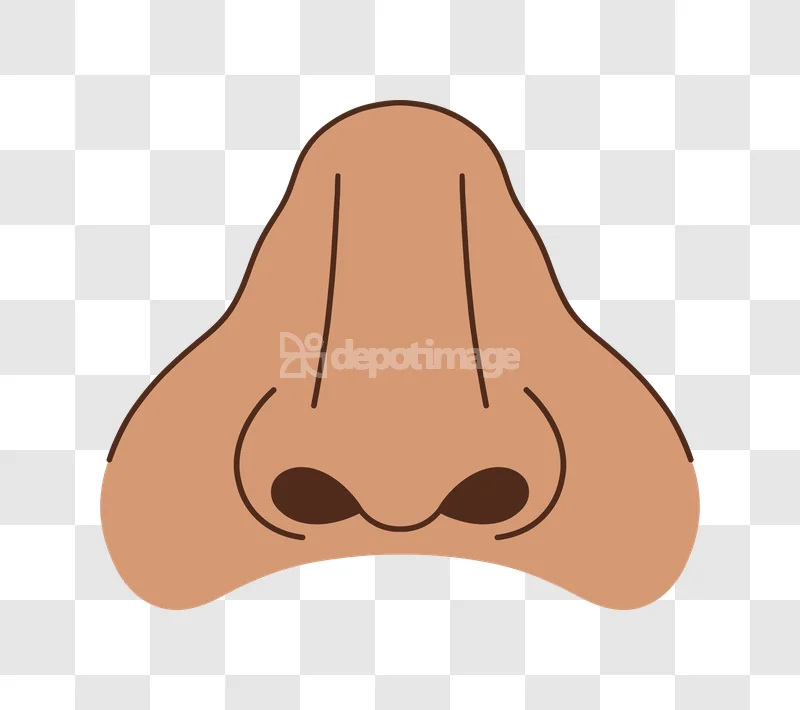 Human Nose Simple Cartoon Style, light brown, dark brown outlines