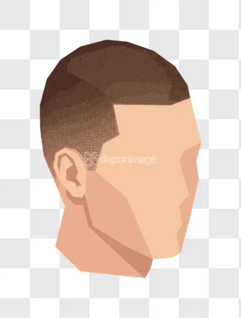 Male Head Side View Haircut Brown