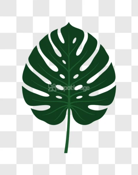 Monstera Leaf Tropical Plant Dark Green