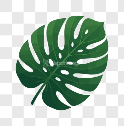 Monstera Leaf Tropical Plant Foliage Green