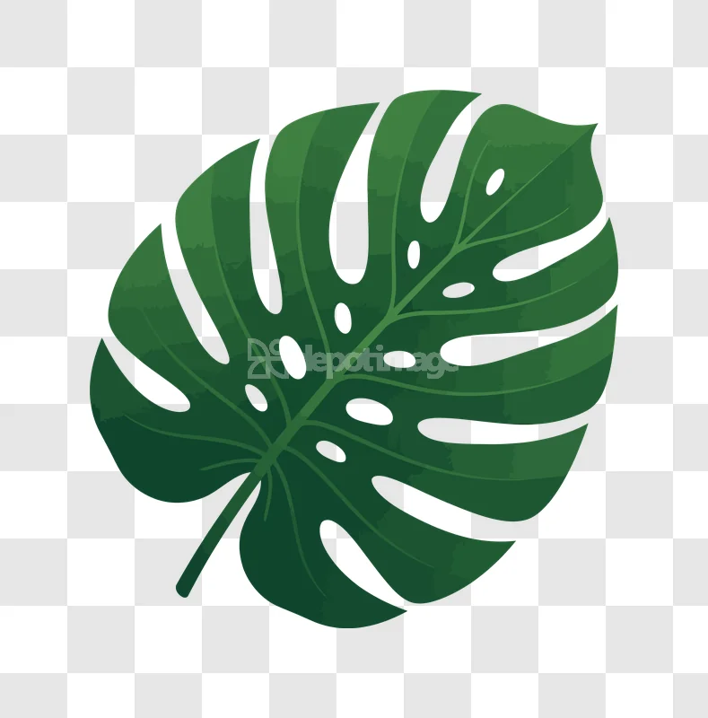 Monstera Leaf Tropical Plant Foliage Green, vibrant green, illustrative, transparent background