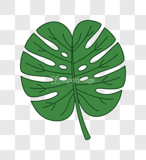 Monstera Leaf Tropical Plant Illustration Green