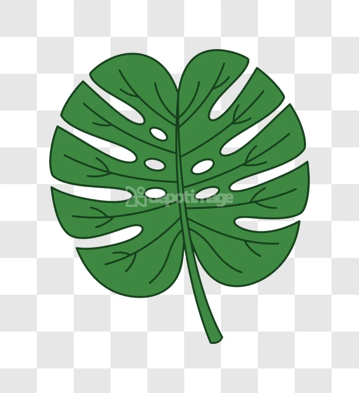 Monstera Leaf Tropical Plant Illustration Green, vibrant green split-leaf plant illustration