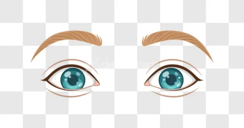 Pair Eyes Looking Right Eyebrows