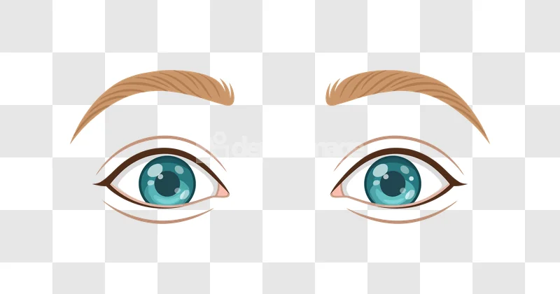 Pair Eyes Looking Right Eyebrows: cartoon, blue, brown, expressive, transparent