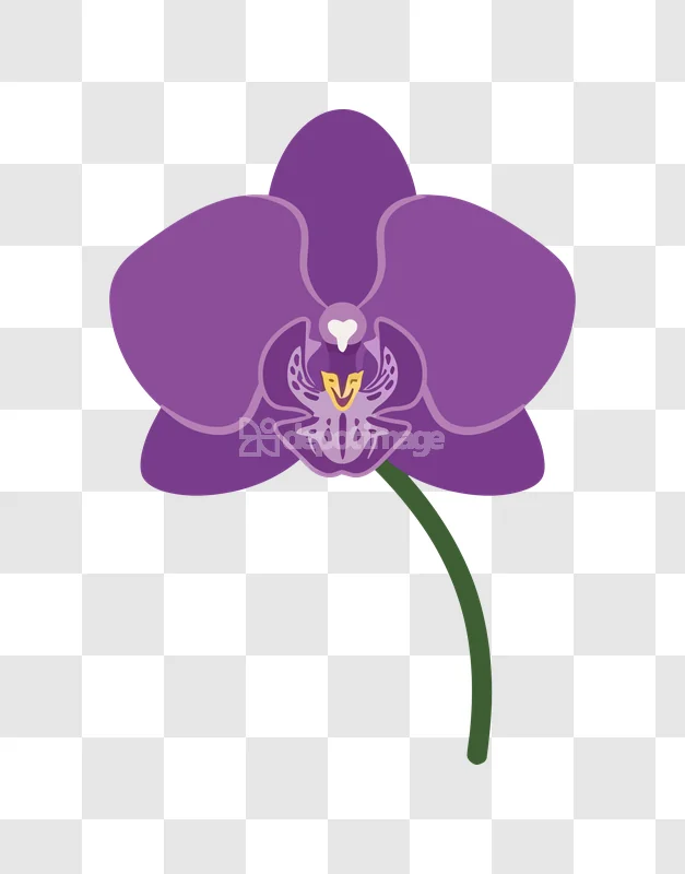 Purple Orchid Flower Green Stem Minimal, flat style, vibrant purple, single stem