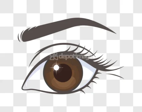 Realistic Brown Eye Eyelashes Eyebrow