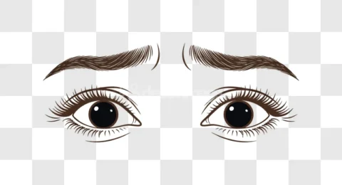 Realistic Brown Eyes Eyebrows Lashes